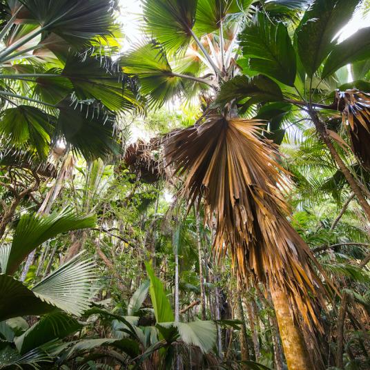 Vallee de mai