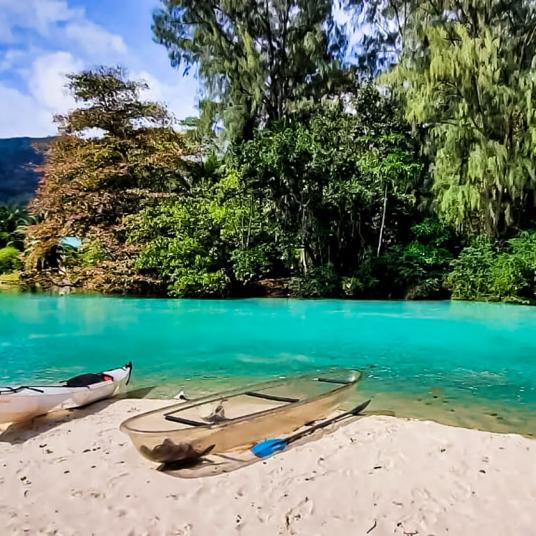 kayaks beached