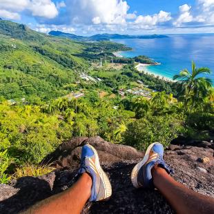 Viewpoint.jpg panoramic view