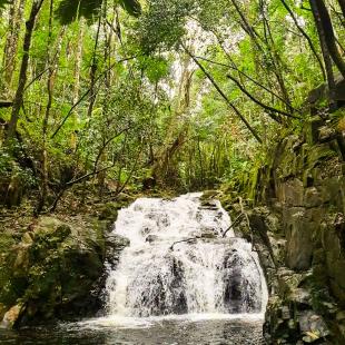 Waterfalls.jpg waterfalls