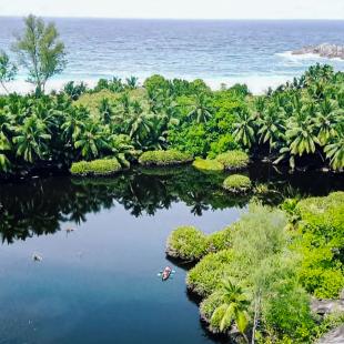 Wetlands.jpg wetlands